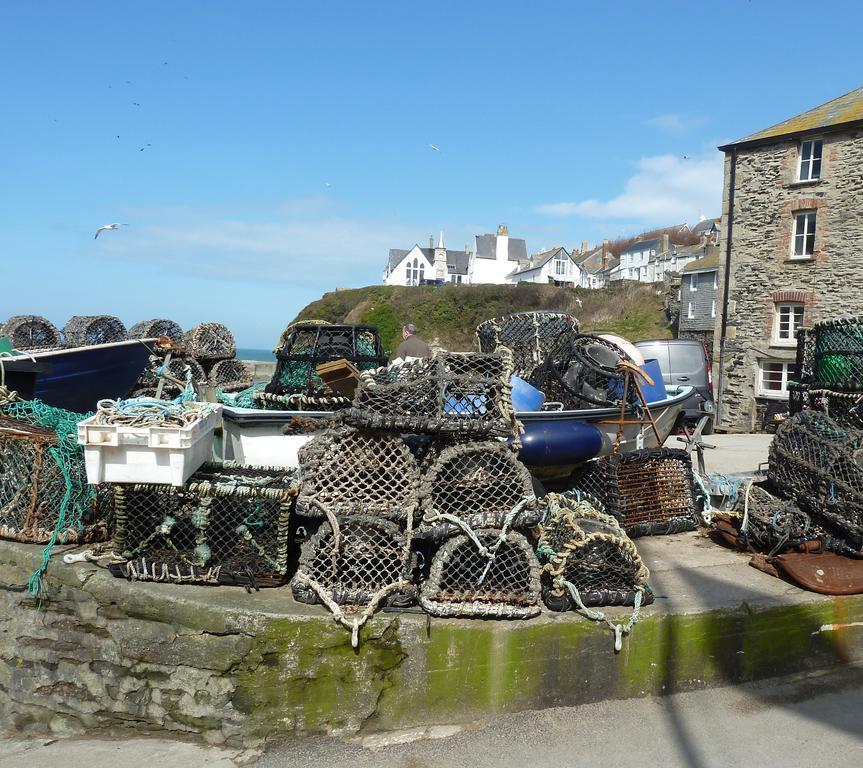 The White Cottage B&B Saint Teath Extérieur photo